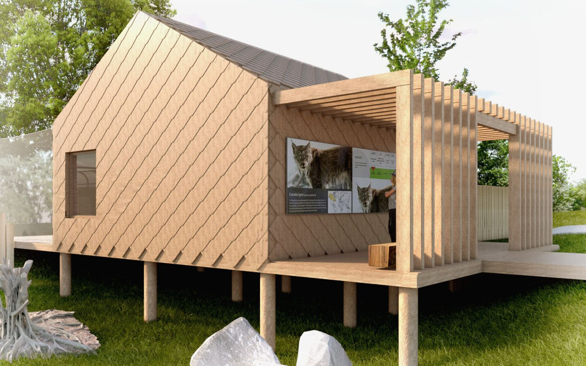 Rysie zamieszkają obok żubrów w lubińskim ZOO