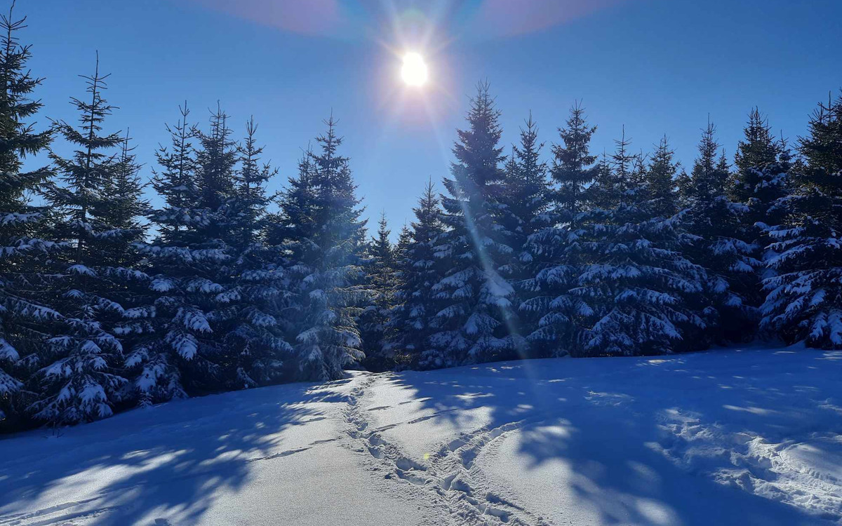 Legnica będzie promować się w Zieleńcu na Dolnośląskiej Zimie