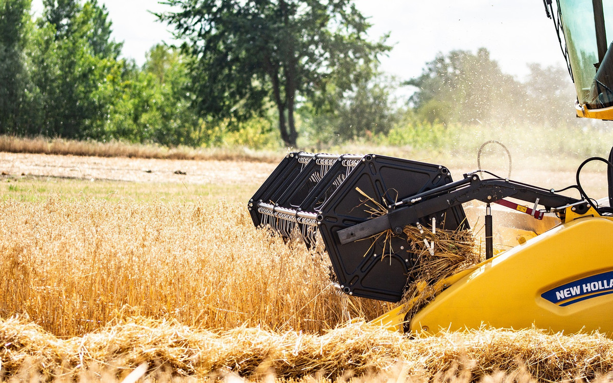 Bezpłatne szkolenie dla rolników z Gminy Czarny Bór