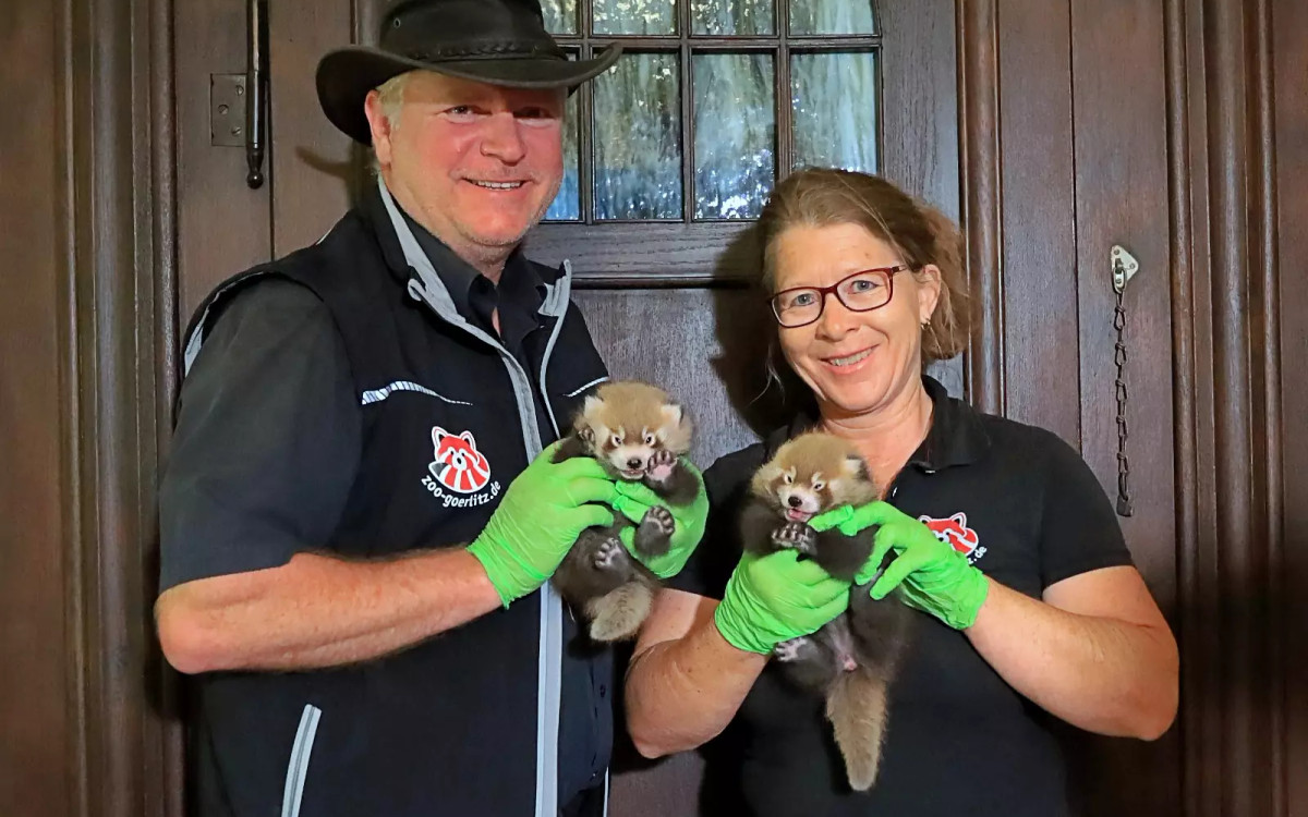 Podwójne szczęście w Zoo Görlitz-Zgorzelec
