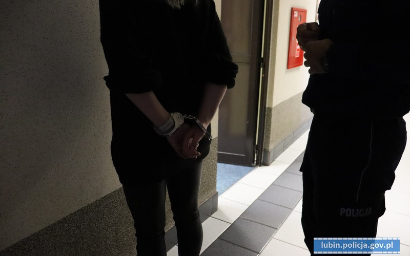 W transporterze miał być kot, ale były narkotyki!