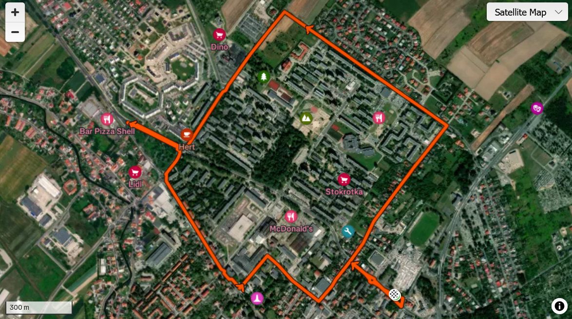 dzierzoniow.pl