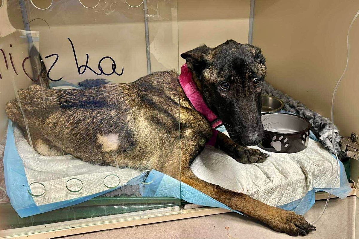 Fundacja Most Nadziei