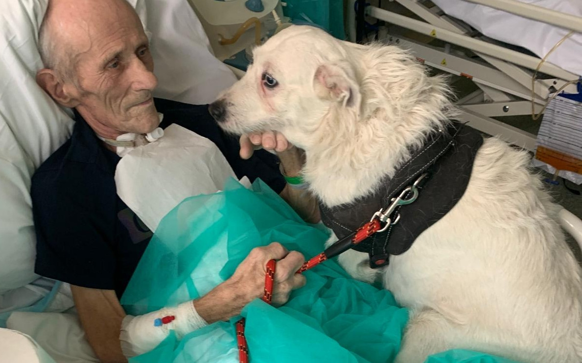 Wyjątkowa wigilia na oddziale paliatywnym legnickiego szpitala