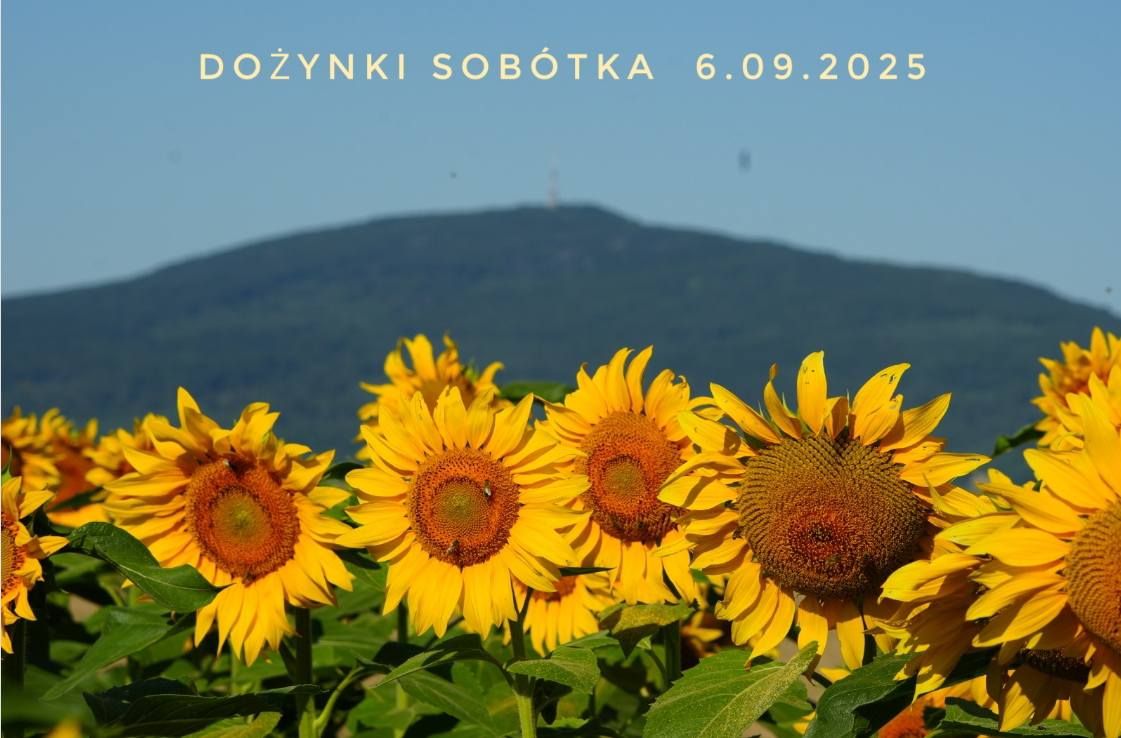 Gmina Sobótka