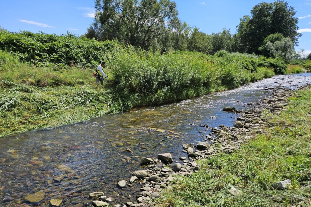 UM Świdnica