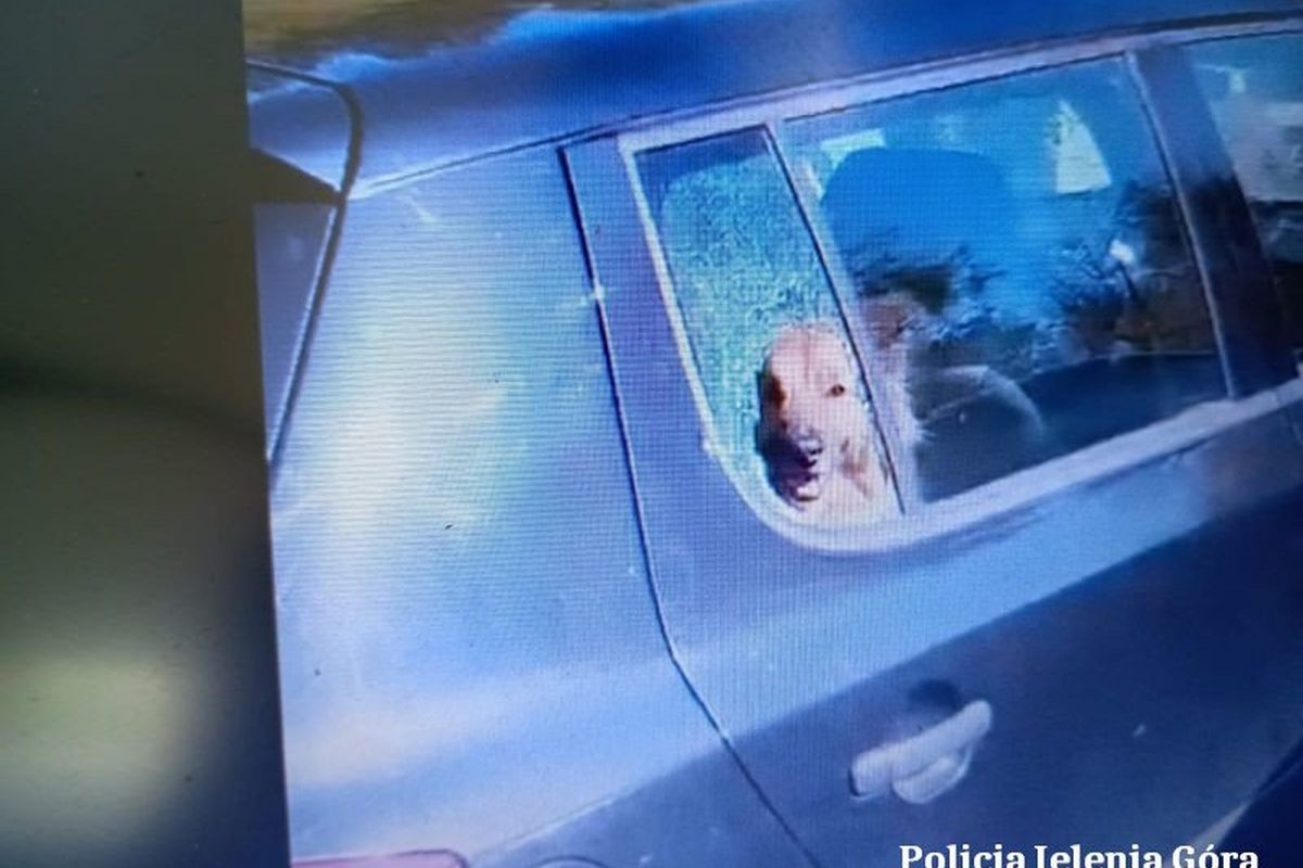 Policja Jelenia Góra