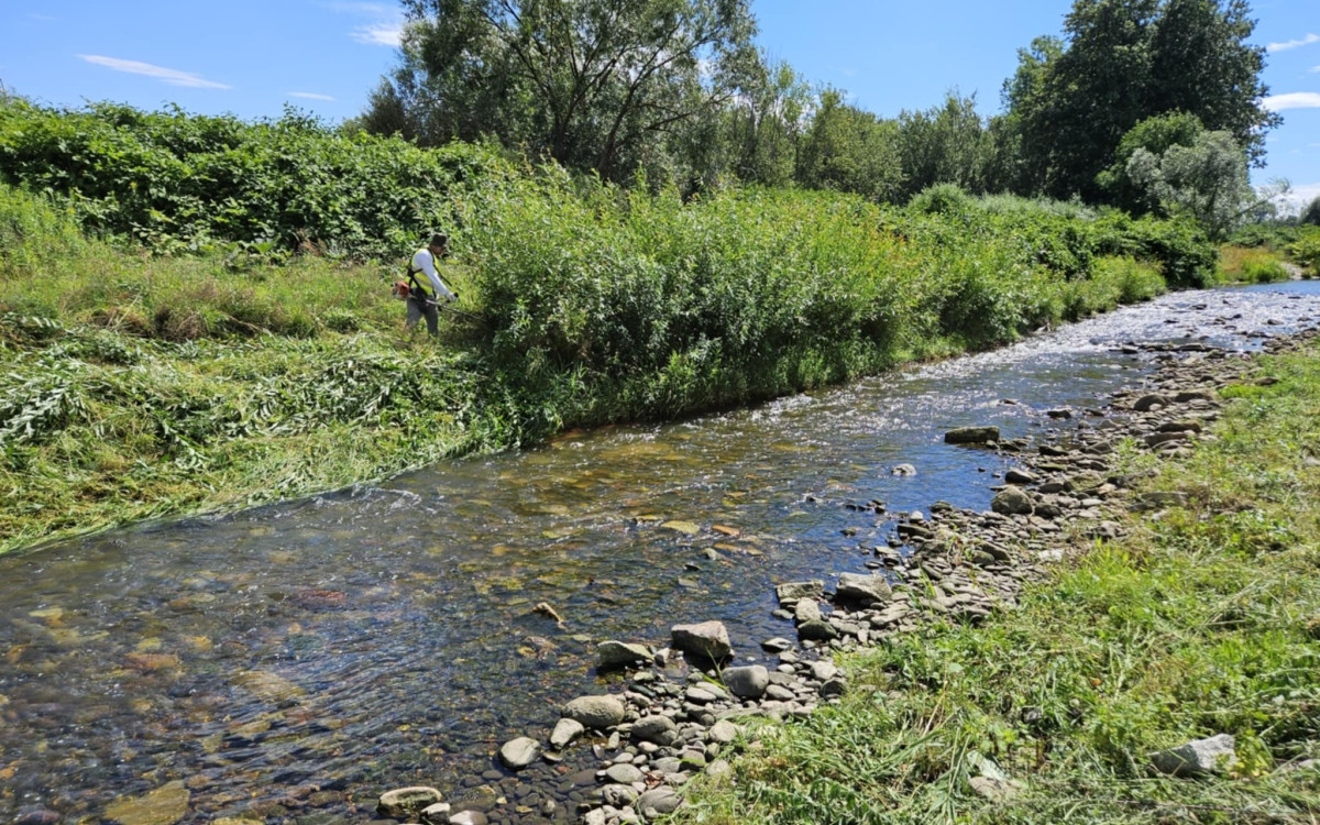 Ruszyły prace nad brzegiem Bystrzycy. Koryto zostanie udrożnione
