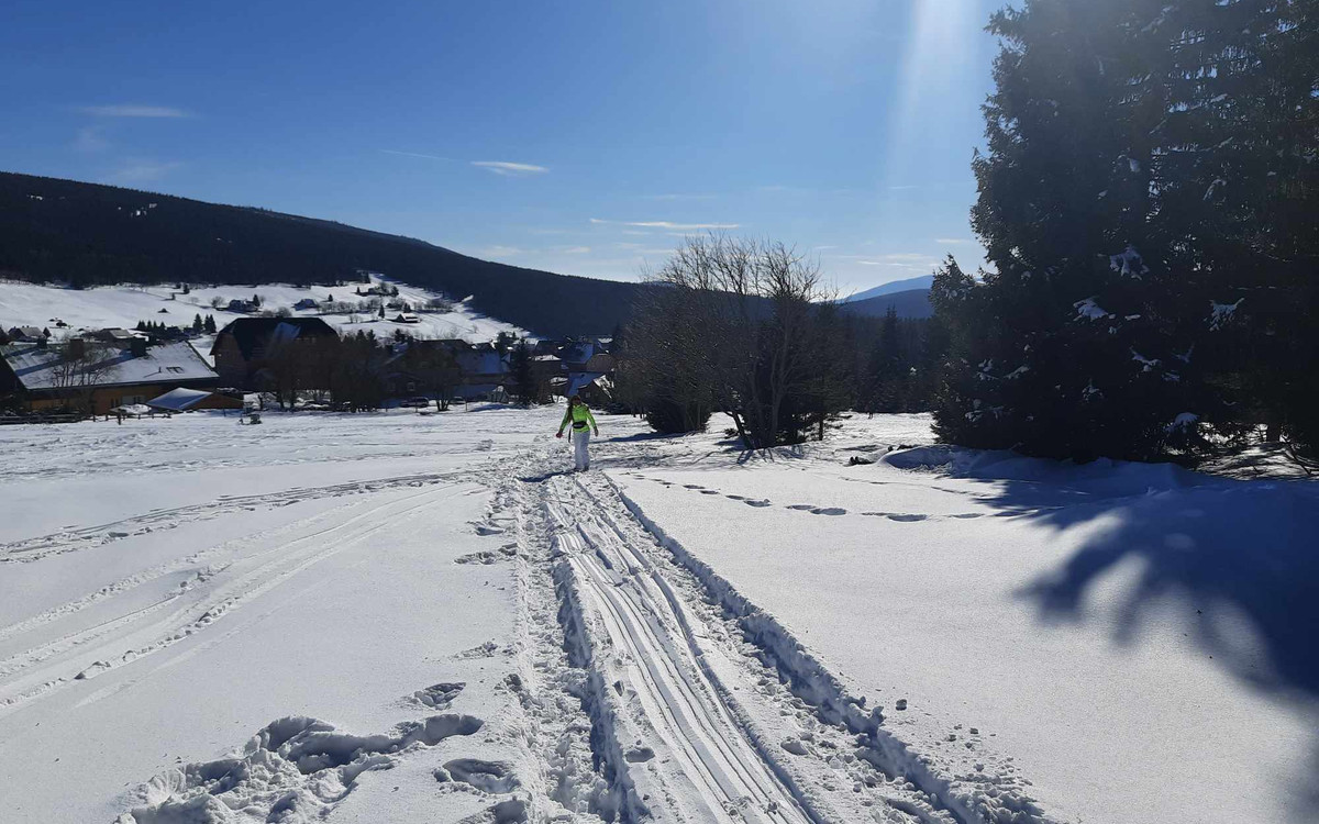 Uczniowie z gminy Polkowice wyjadą na tydzień w Bieszczady