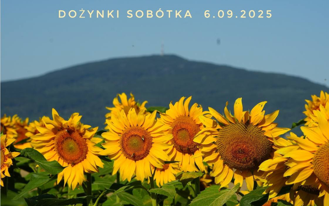 Dożynki Gminne w Sobótce. Święto plonów odbędzie się 6 września