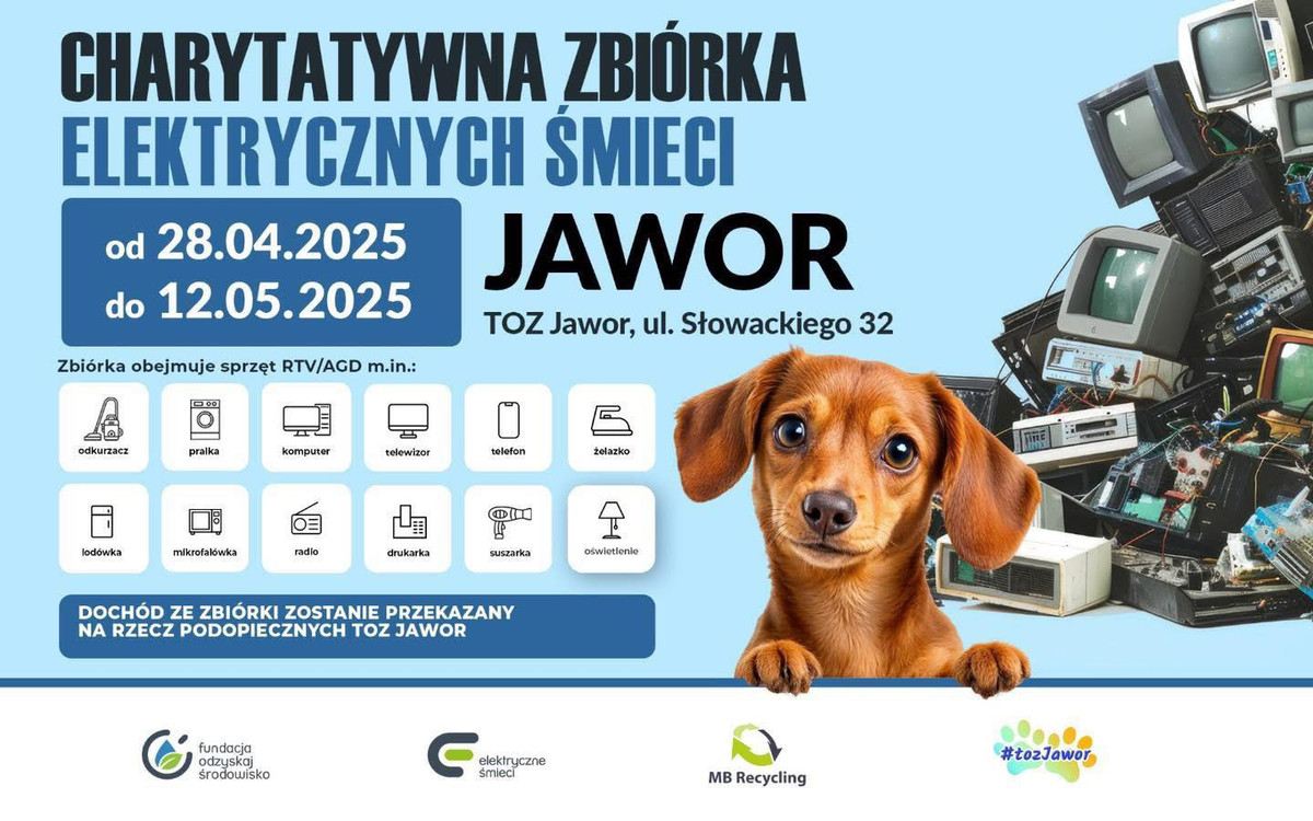 Pozbądź się elektroodpadów i pomóż psiakom z TOZ Jawor