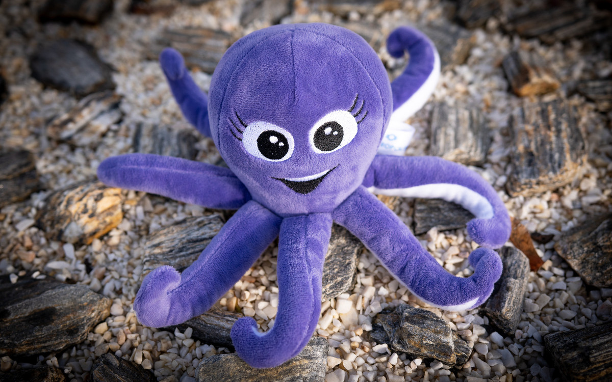 Pamiątki z Hydropolis we Wrocławiu dostępne także online