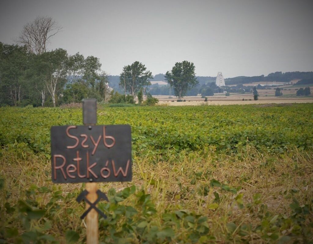 redakcja