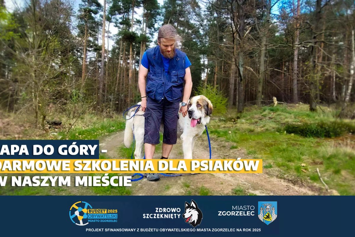 zgorzelec.eu