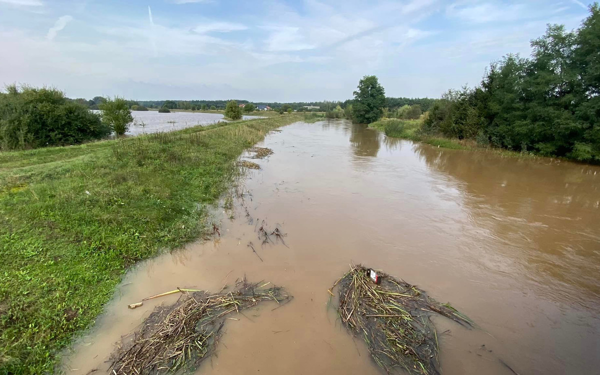 Poziom wody rośnie. Rzeszotary i Grzymalin z podtopieniami