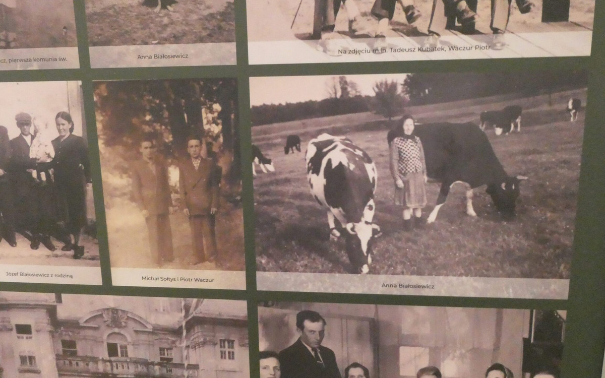 Dzień Osadnika w Gminie Lubin coraz bliżej! Zapraszamy do wspólnej zabawy!