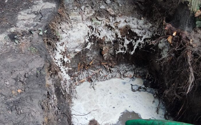 Czaszki, piszczele i setki innych kości. Ludzkie szczątki odkryte przy ścinawskim kościele!