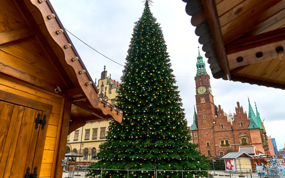 Dziś rozbłyśnie choinka na wrocławskim rynku! Zapraszamy!