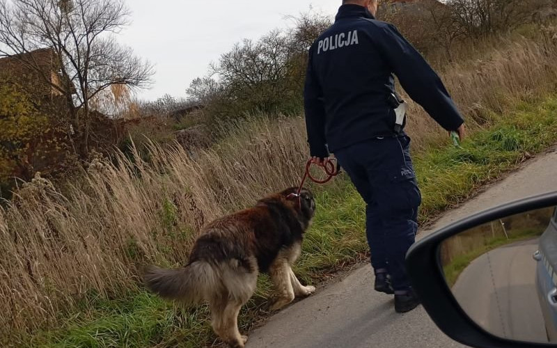 Przewrócił się i potrzebował pomocy. Pomogli policjanci