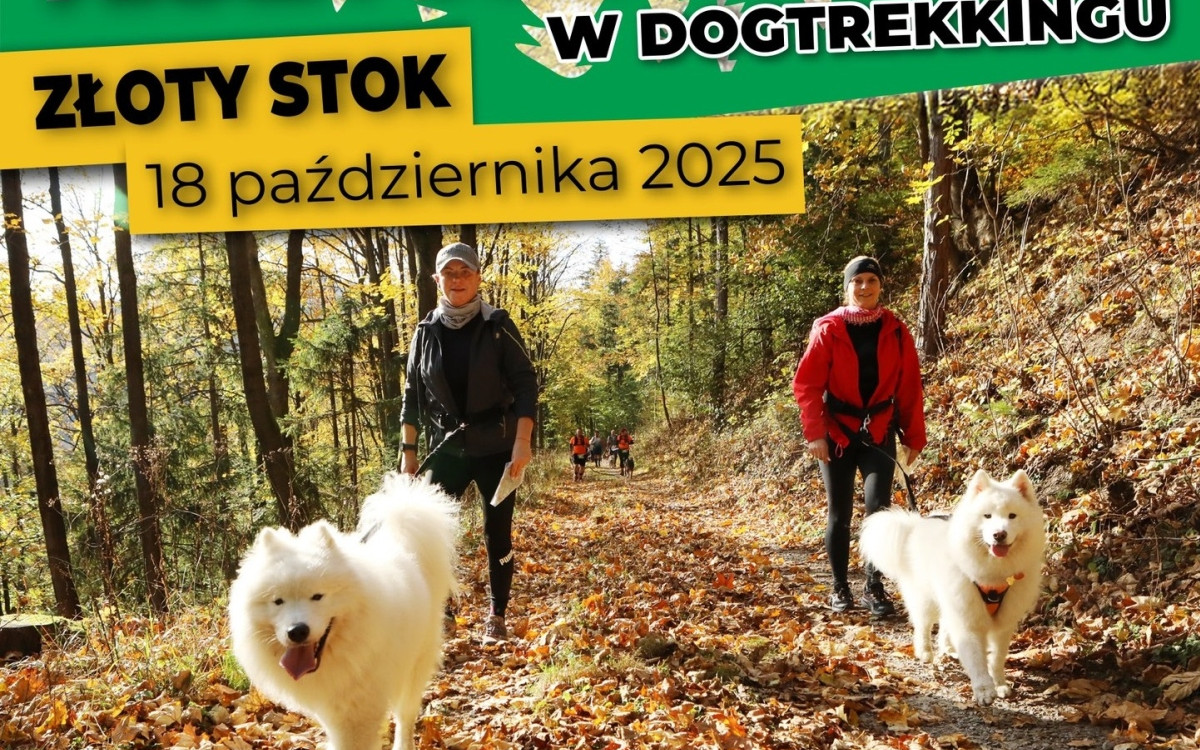 Zapraszamy na finał Pucharu Polski w Dogtrekkingu w Górach Złotych