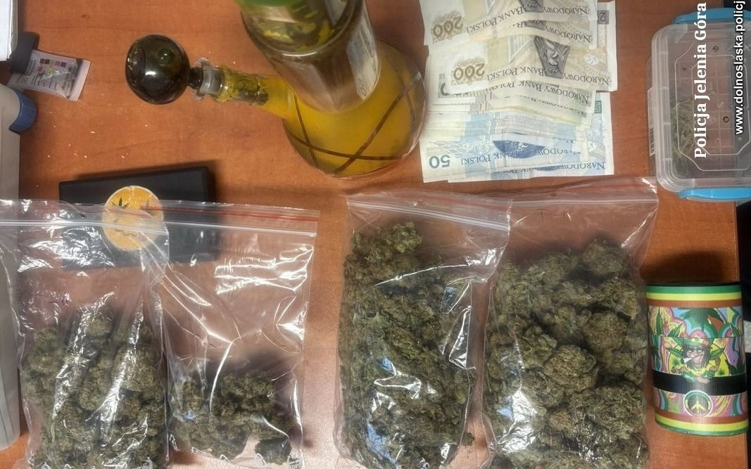 Nerwowe zachowanie wzbudziło podejrzenia policjantów. 17-latkowi grozi 10 lat