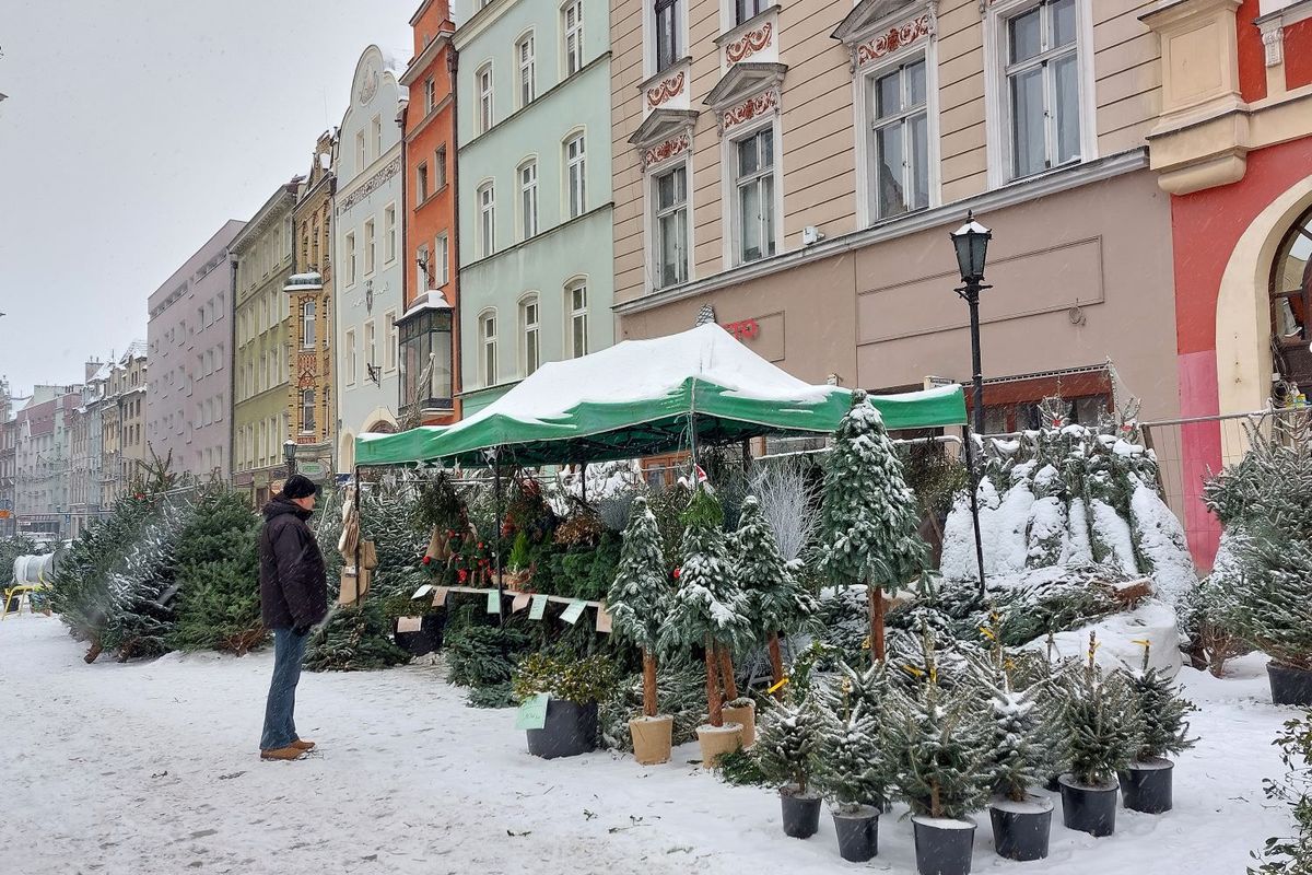 UM Świdnica