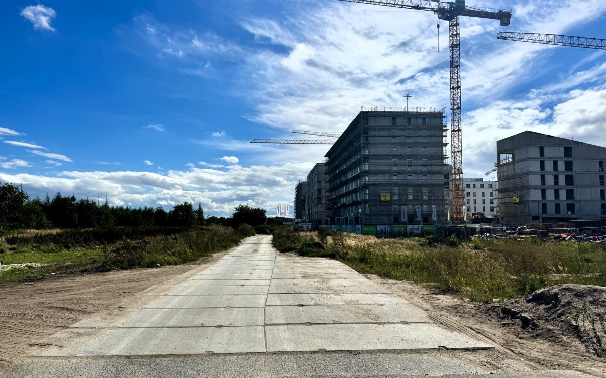 Wrocławskie Inwestycje planują przebudowę na alei Architektów