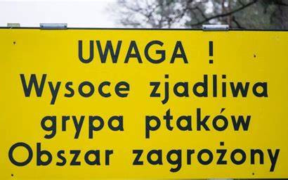 Ptasia Grypa we Wrocławiu. Północna część miasta zagrożona